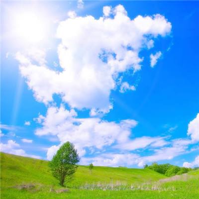 安博·体育截图